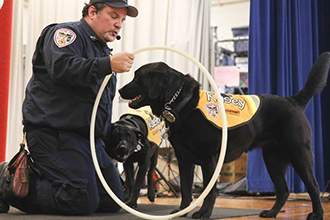 Kasey Taught Me — Koorsen’s Fire & Life Safety Dogs Save Lives