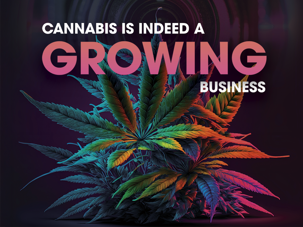 Cannabis is Indeed a Growing Business